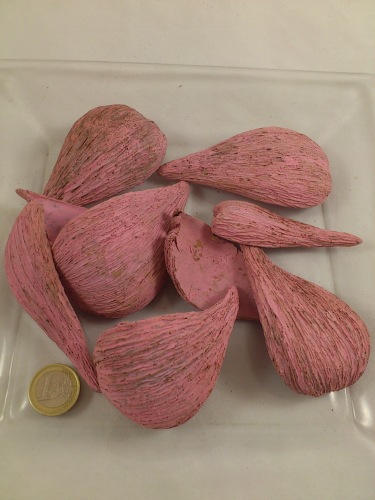 Arti pods pink 50 gr.